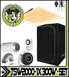 LED GROWBOX SET GP100 - 100x100x200cm - Mars H. TSW2000 LED 300W