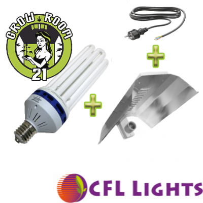 LAMPEN SET CFL | Energiesparlampen-Set 250W | blaues Spektrum