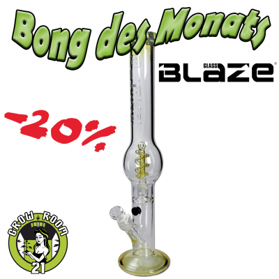Blaze - Glasbong Perkolator-Pearl | Bong des Monats: -20%