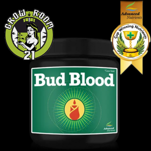 ADVANCED N. - Bud Blood