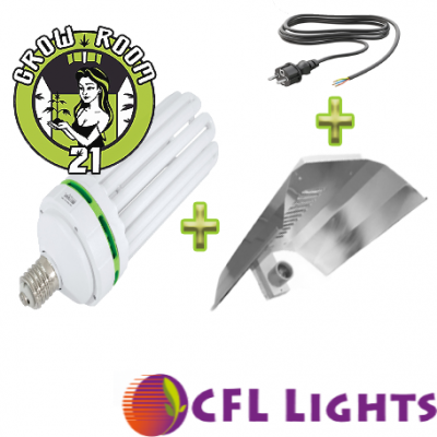 LAMPEN SET CFL | Energiesparlampen-Set 250W | rotes Spektrum