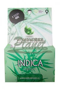 Indica Collection Pack Feminised - World of Seeds