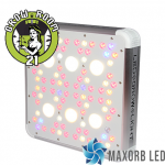 MAXORB 504W LED