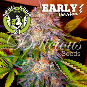 Caramelo Early Version Feminised - Delicious Seeds