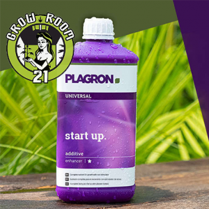 PLAGRON Start-Up