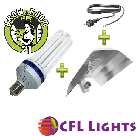 Energiesparlampe CFL Blüte 2700ºK 250W 